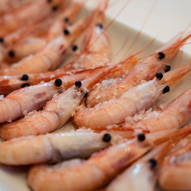 gambas frescas